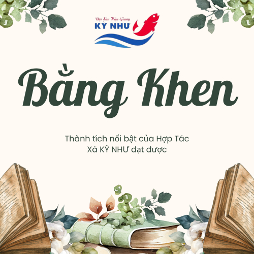 Bằng Khen - Giấy Khen - Giấy Biểu Dương Của HTX Kỳ Như